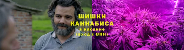 СК Краснослободск