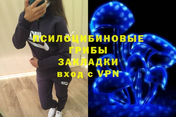 СК Краснослободск