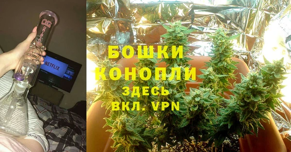 гидропоника Кодинск