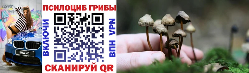 Галлюциногенные грибы прущие грибы  Краснокаменск 