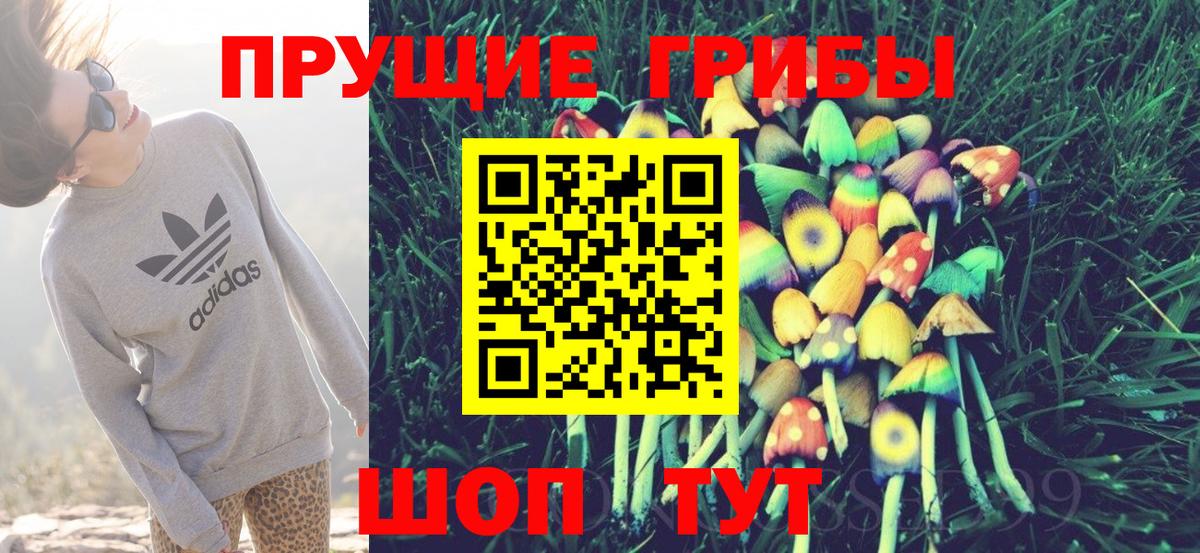 Галлюциногенные грибы Psilocybine cubensis Краснокаменск