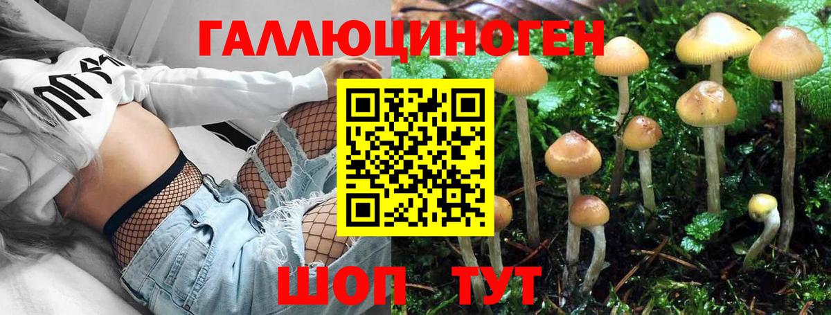 Краснокаменск  Псилоцибиновые грибы MAGIC MUSHROOMS  Вход с VPN  Галлюциногенные грибы ЛСД 